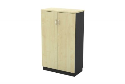 Swinging Door Medium Cabinet