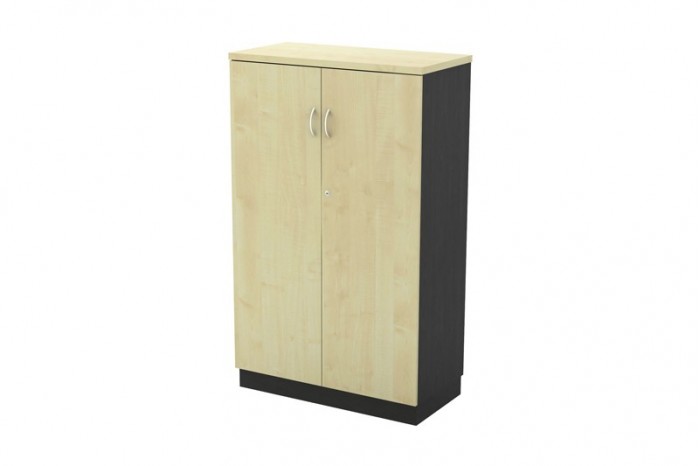 Swinging Door Medium Cabinet