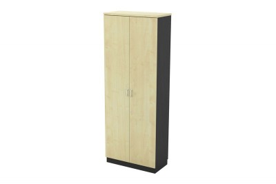 Swinging Door High Cabinet