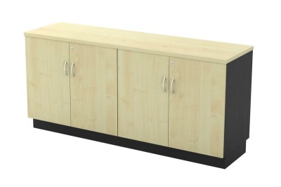Dual Swinging Door Low Cabinet