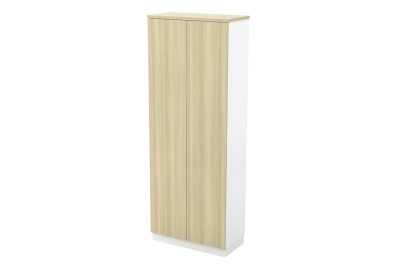 Swinging Door High Cabinet