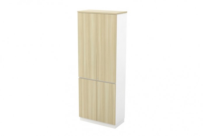 Swinging Door High Cabinet
