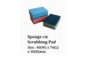 Sponge cw Scrubbing Pad