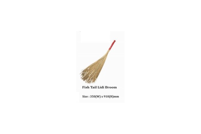 Fish Tail Lidi Broom