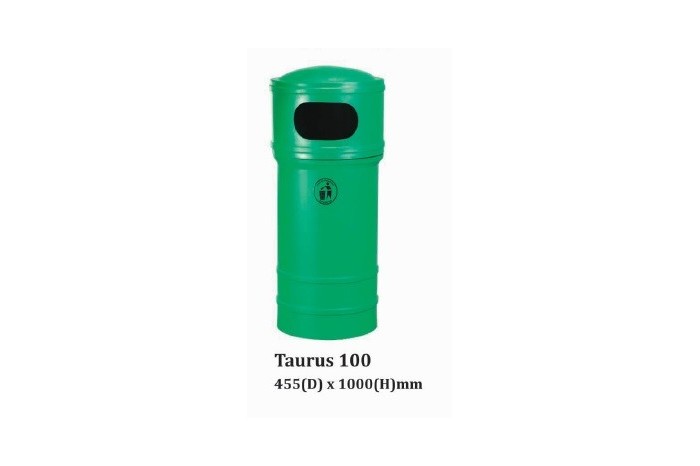 Taurus 100