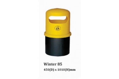 Winter 85