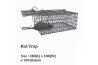 Rat Trap