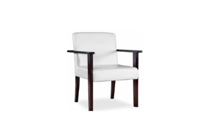 Dining Chair IS N 009