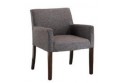 Dining Chair IS N 011