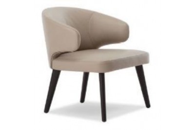 Dining Chair IS N 019