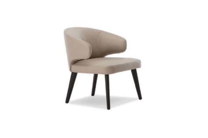 Dining Chair IS N 019