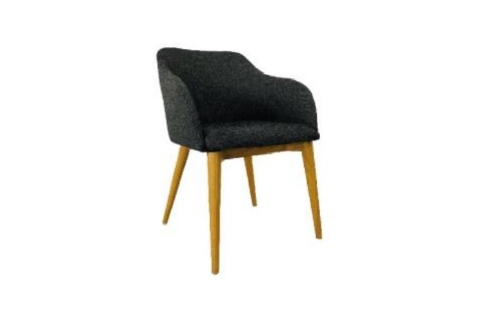 Dining Chair IS DC 011