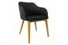 Dining Chair IS DC 011