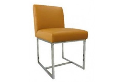 Dining Chair IS DC 016