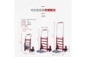 Giant Staircase Hand Trolley