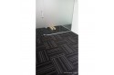 Carpet Tile