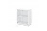 SWINGING GLASS DOOR LOW CABINET