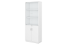 SWINGING GLASS DOOR HIGH CABINET
