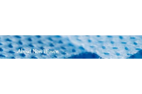 Non Woven Bag